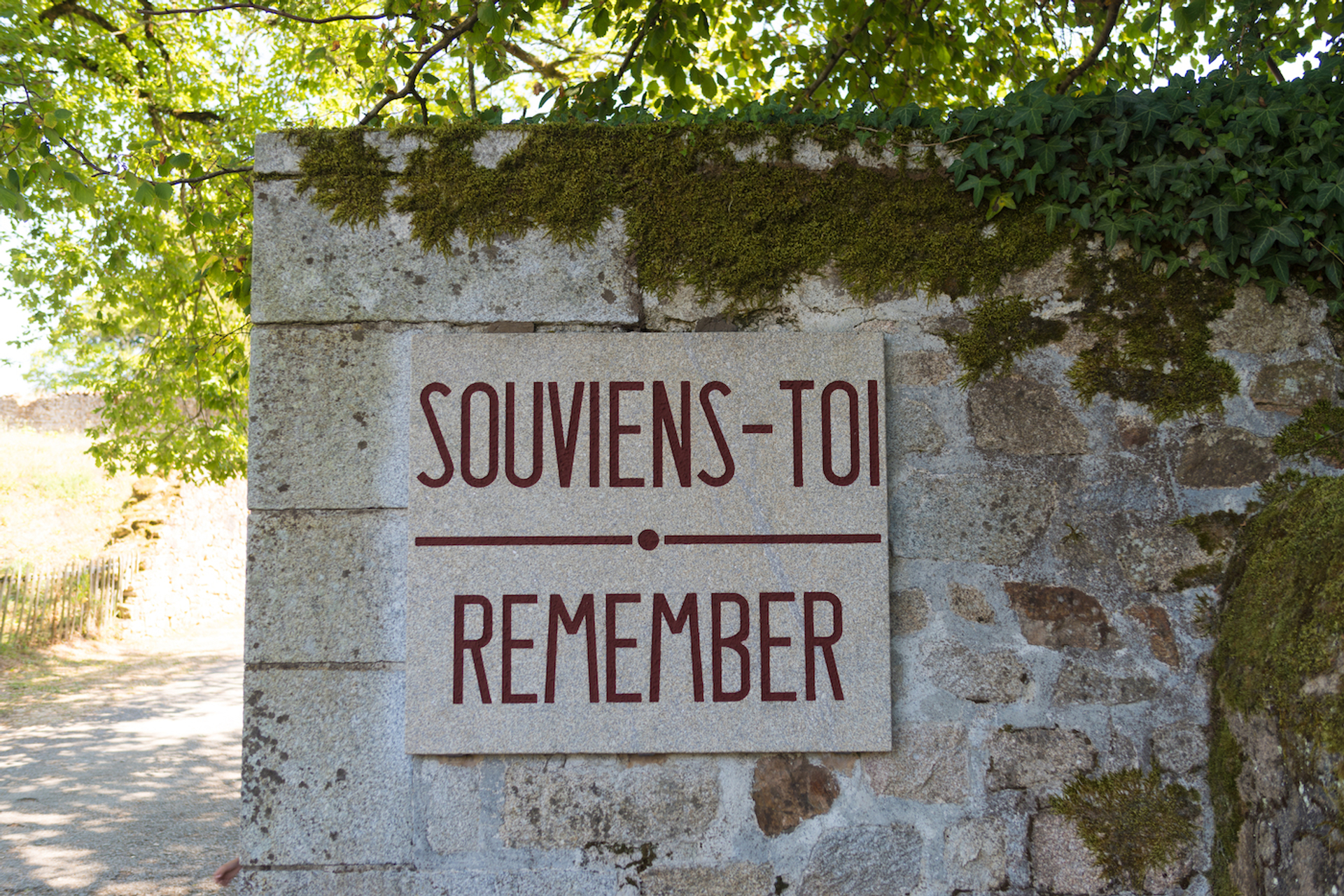 hans_engbers-1678442429