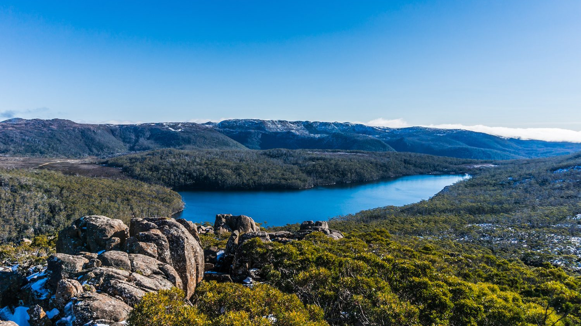 809b9853-1ac0-41e3-81b7-ebfbaa91c93c-1605105385