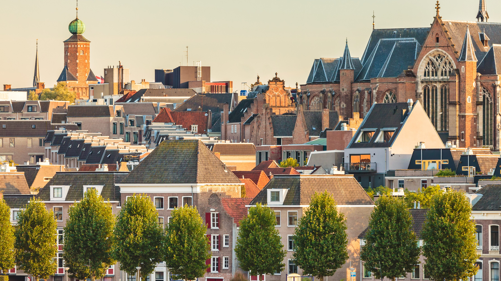 8381f765-094b-444d-bce1-b82b0be88e28-1605001706