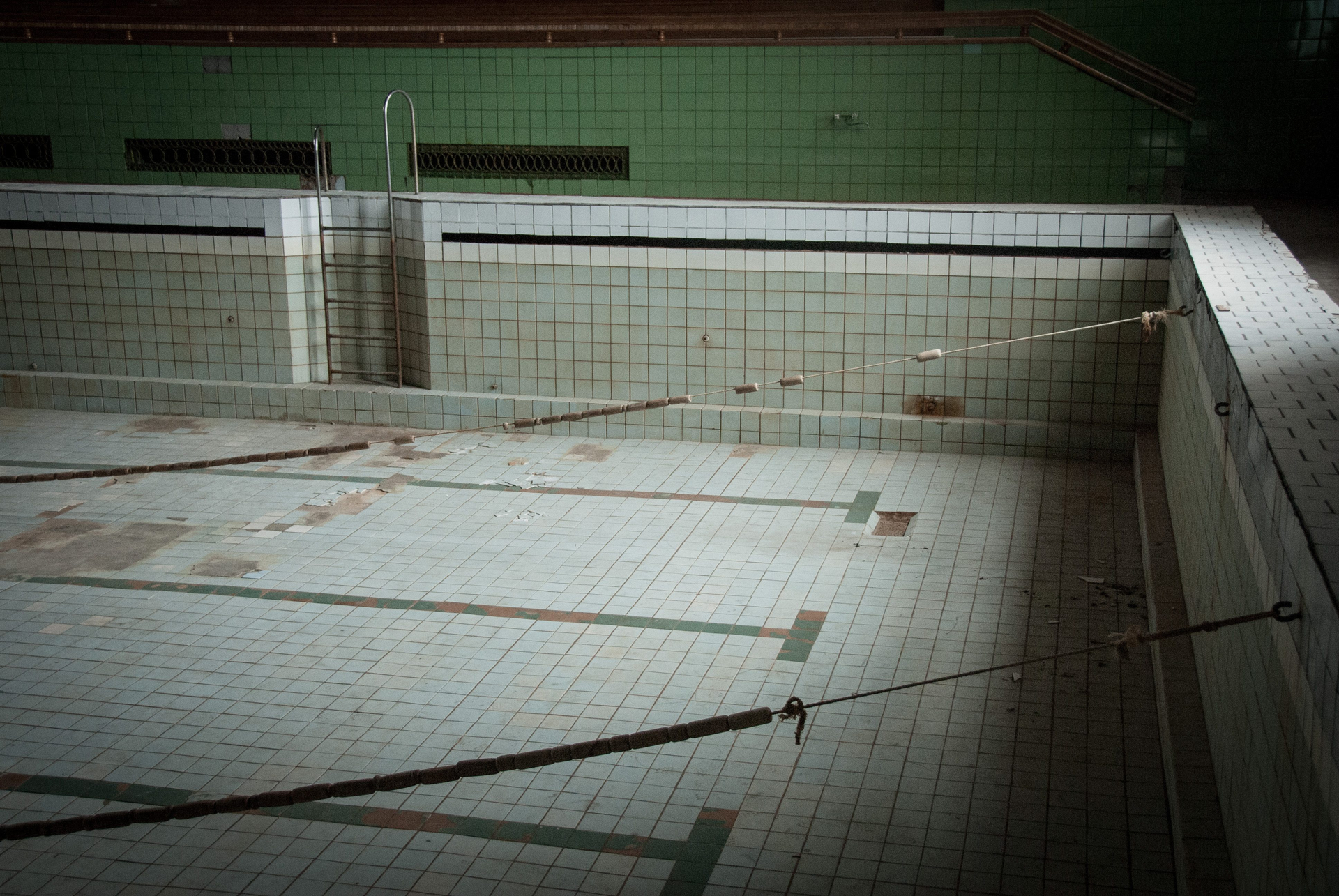 f95a2f32-c93e-47a7-abf3-8b68d1ad0812-1604938960