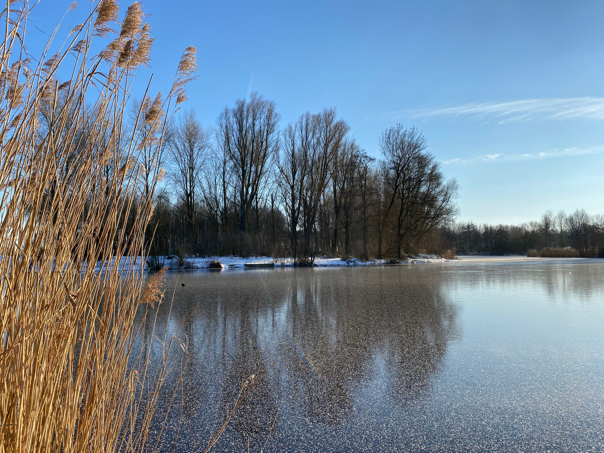 Iris_Caron__Hoevense_Beemden-1614085731