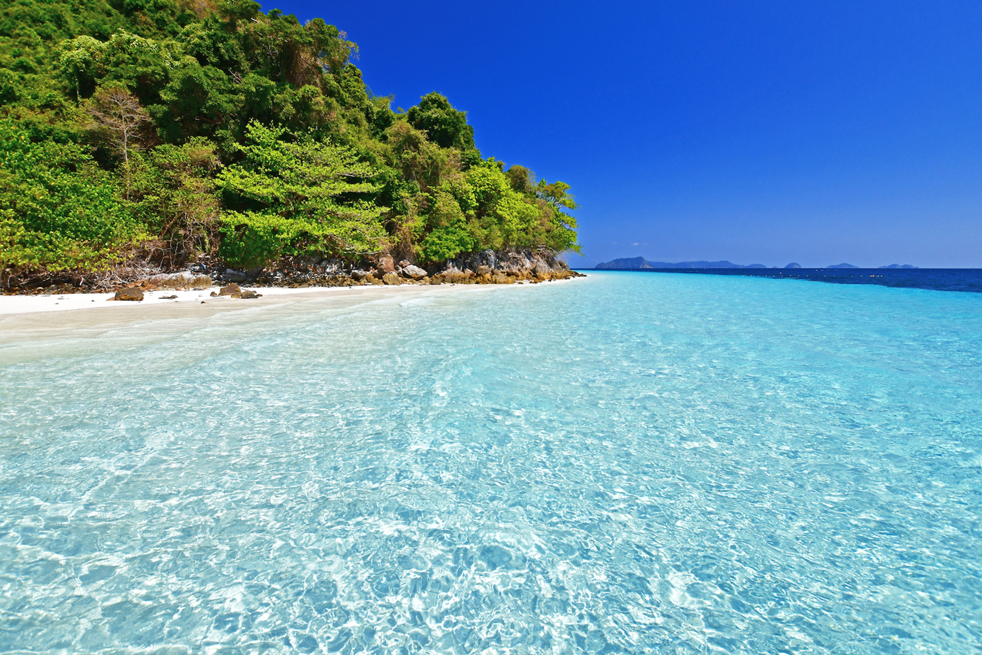 Jiraphoto-1633608867