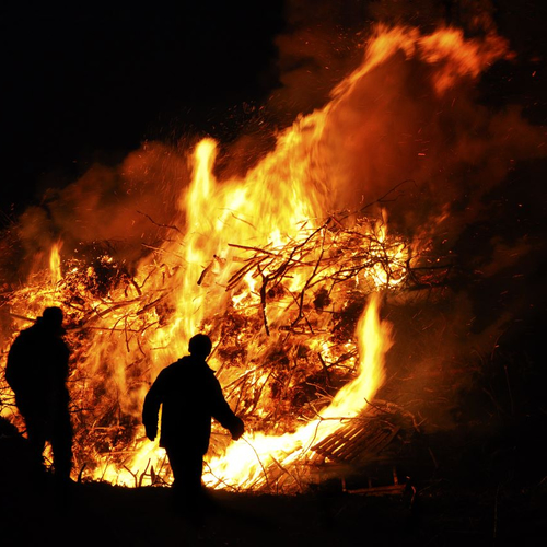 Niet meer welkom: dit doen Europeanen met hun kerstboom