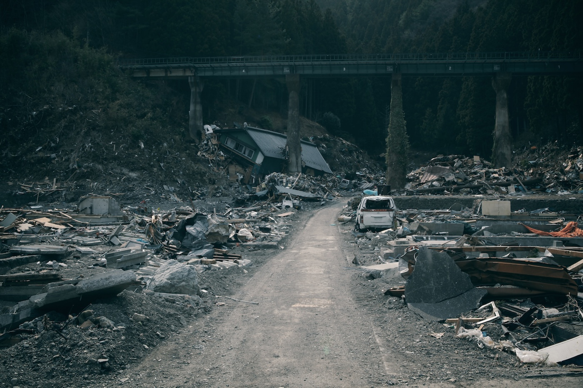 Fly_and_Dive-1753888051