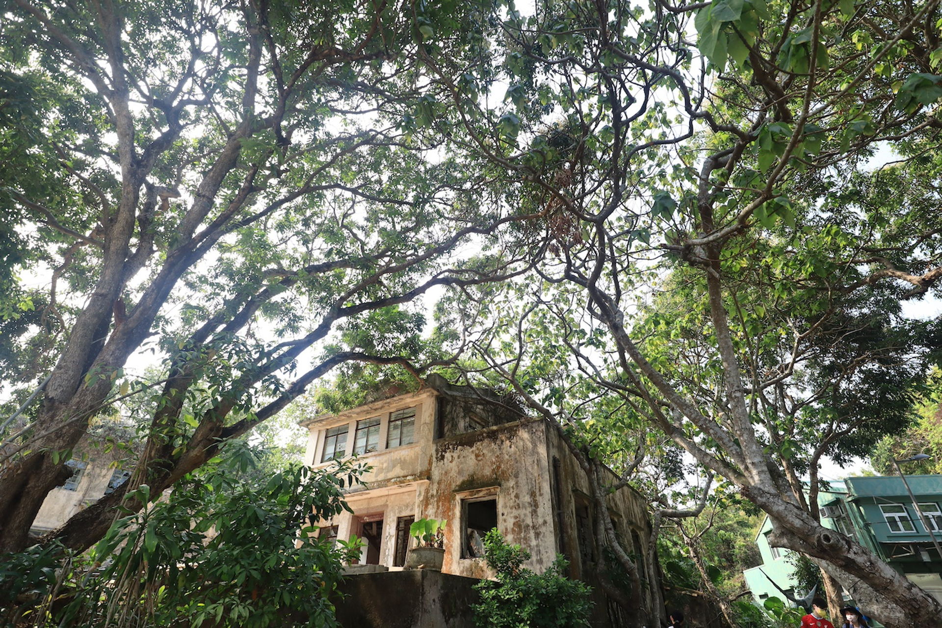 shutterstock_1953570250-1711006496