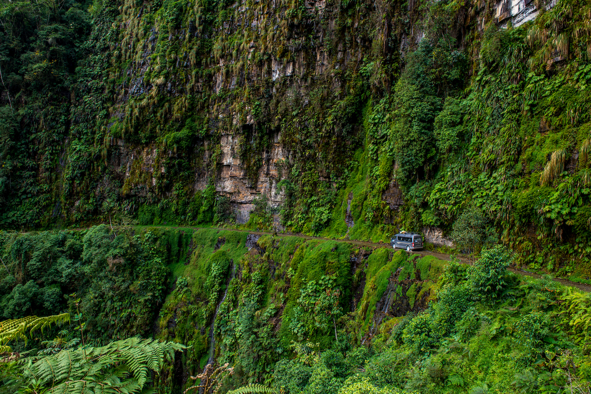 Andrew_Clifforth-1665668857