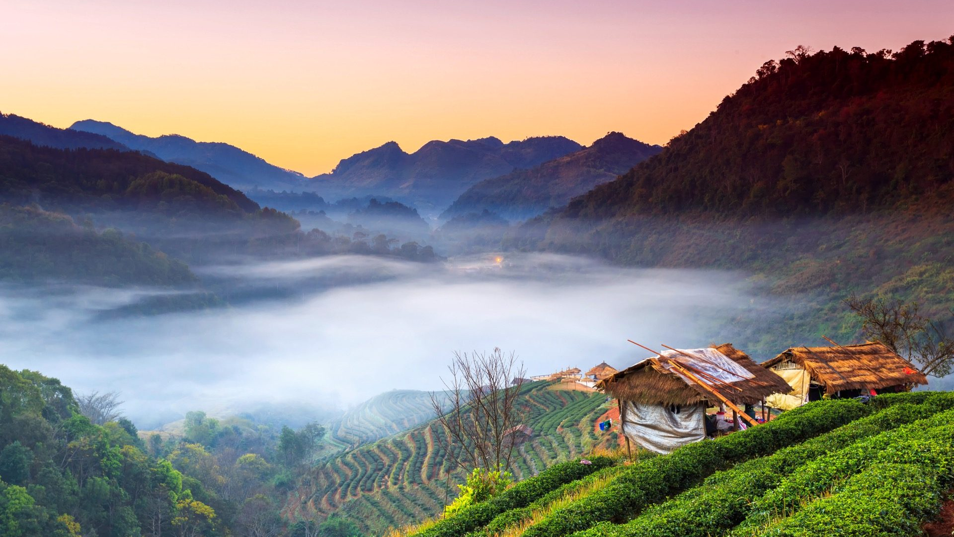 c9760a65-4dfa-4205-9ad0-af5e7182e266-1605101394