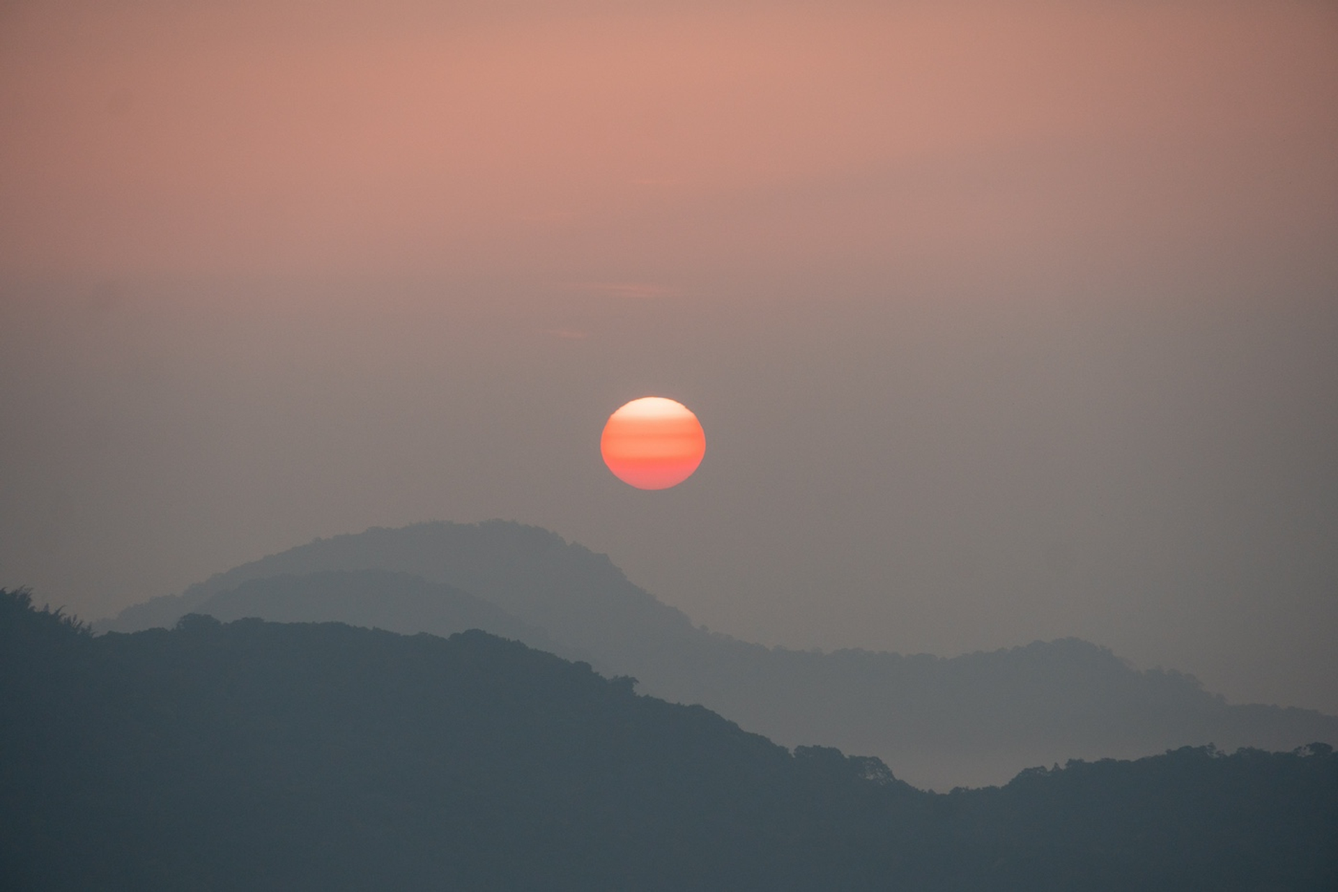 shutterstock_1430979938-1718802169