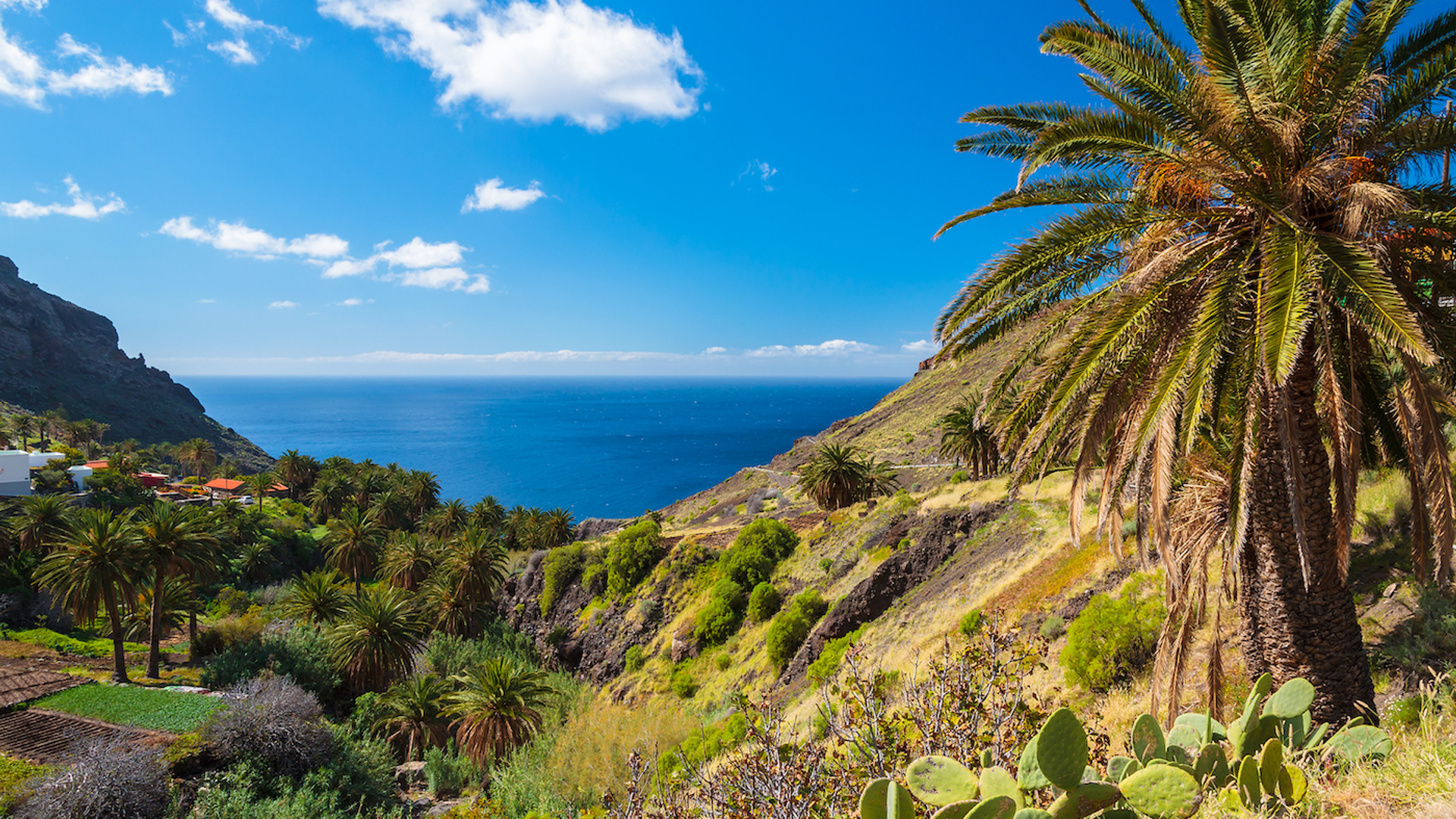 shutterstock_162304904-1626356185