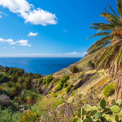 Duizenden reizen geannuleerd wegens negatieve adviezen voor Cyprus, Portugal, de Canarische eilanden en de Balearen