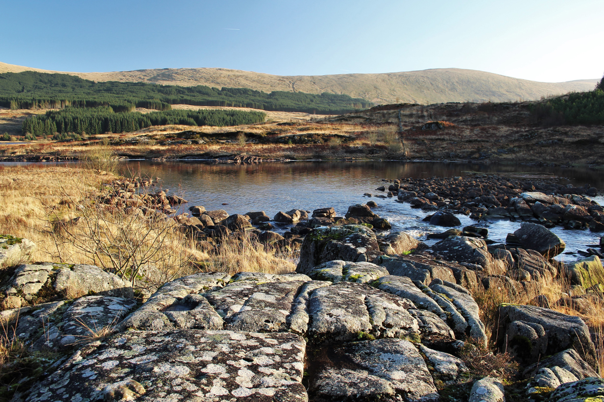 3OR_Galloway_Forest_Park_Schotland_2-1652972286