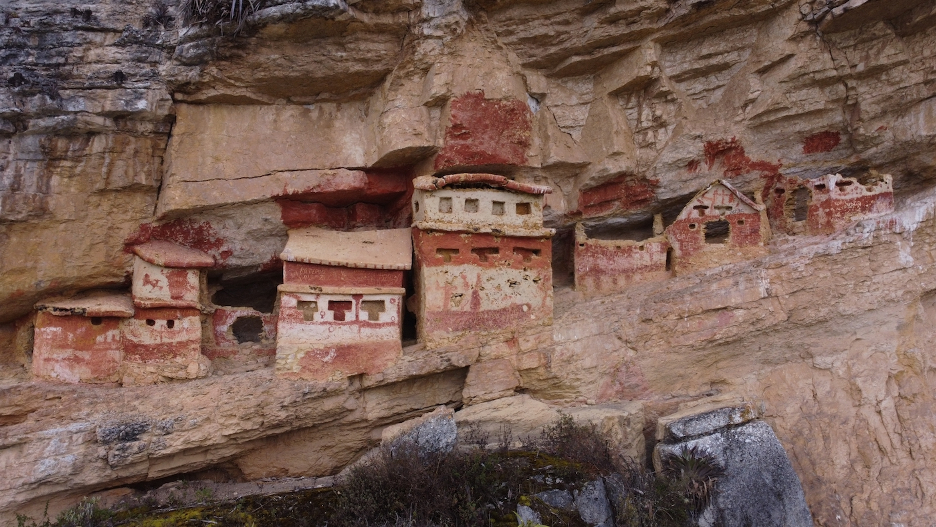 shutterstock_2331252601-1706542522