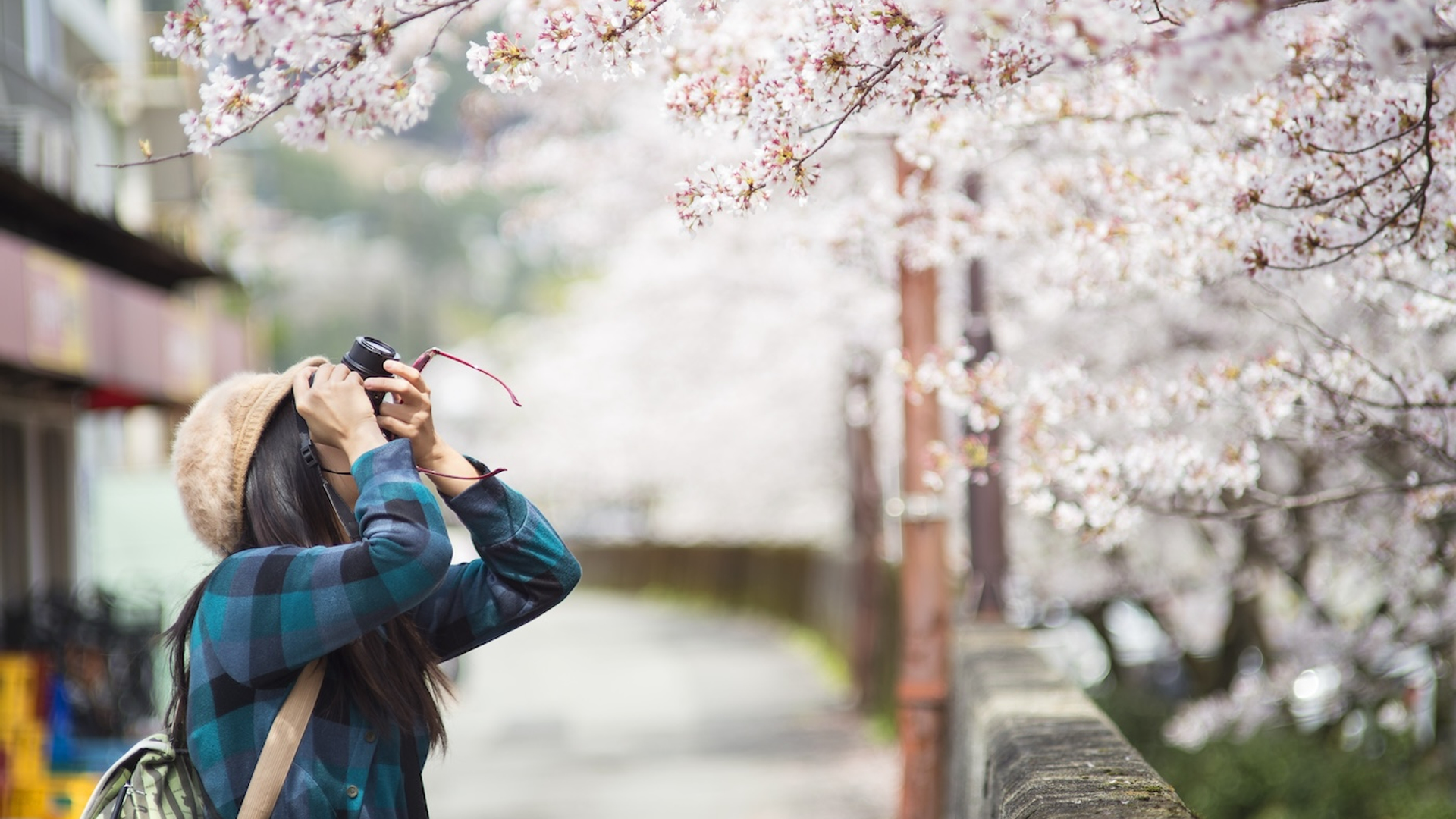 Harry_Painter-1728993546