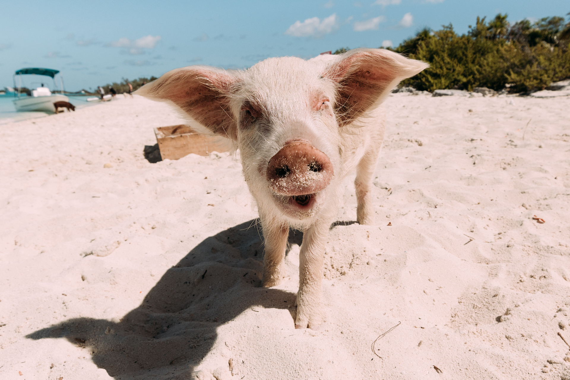 shutterstock_635355323-1653480489