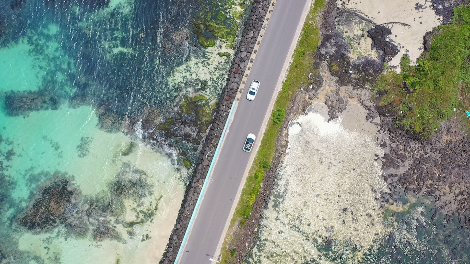 shutterstock_2469218499-2-1733824106