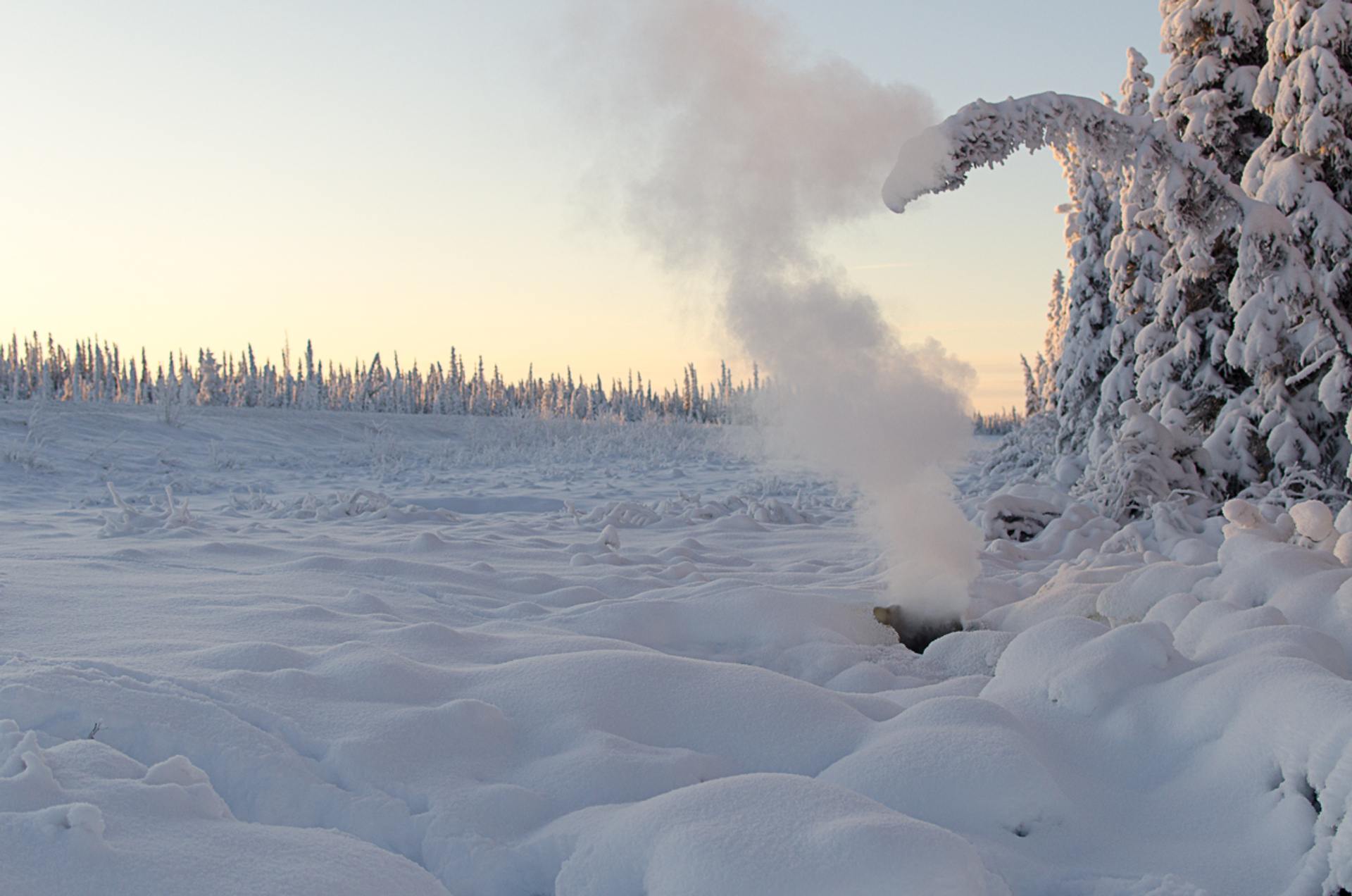 Chris_Fournier___Flickr.com-1744287646