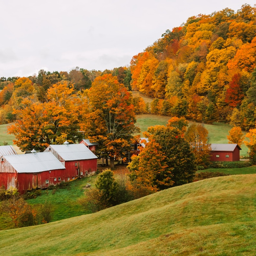 Zeg maar dag tegen die vroege winterdip: in Vermont is herfst een stuk knusser