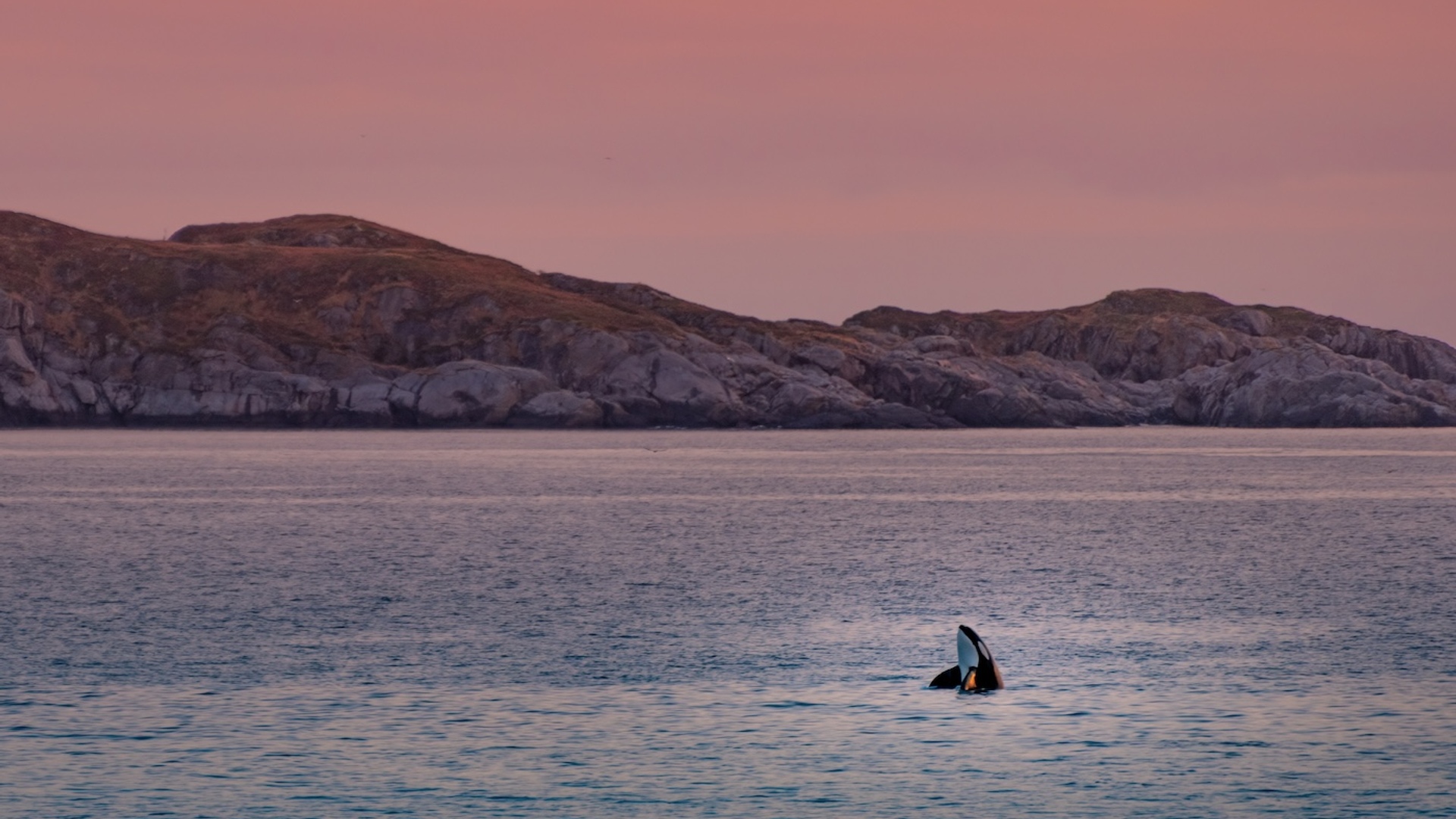 David_Rius_Serra-1757513449