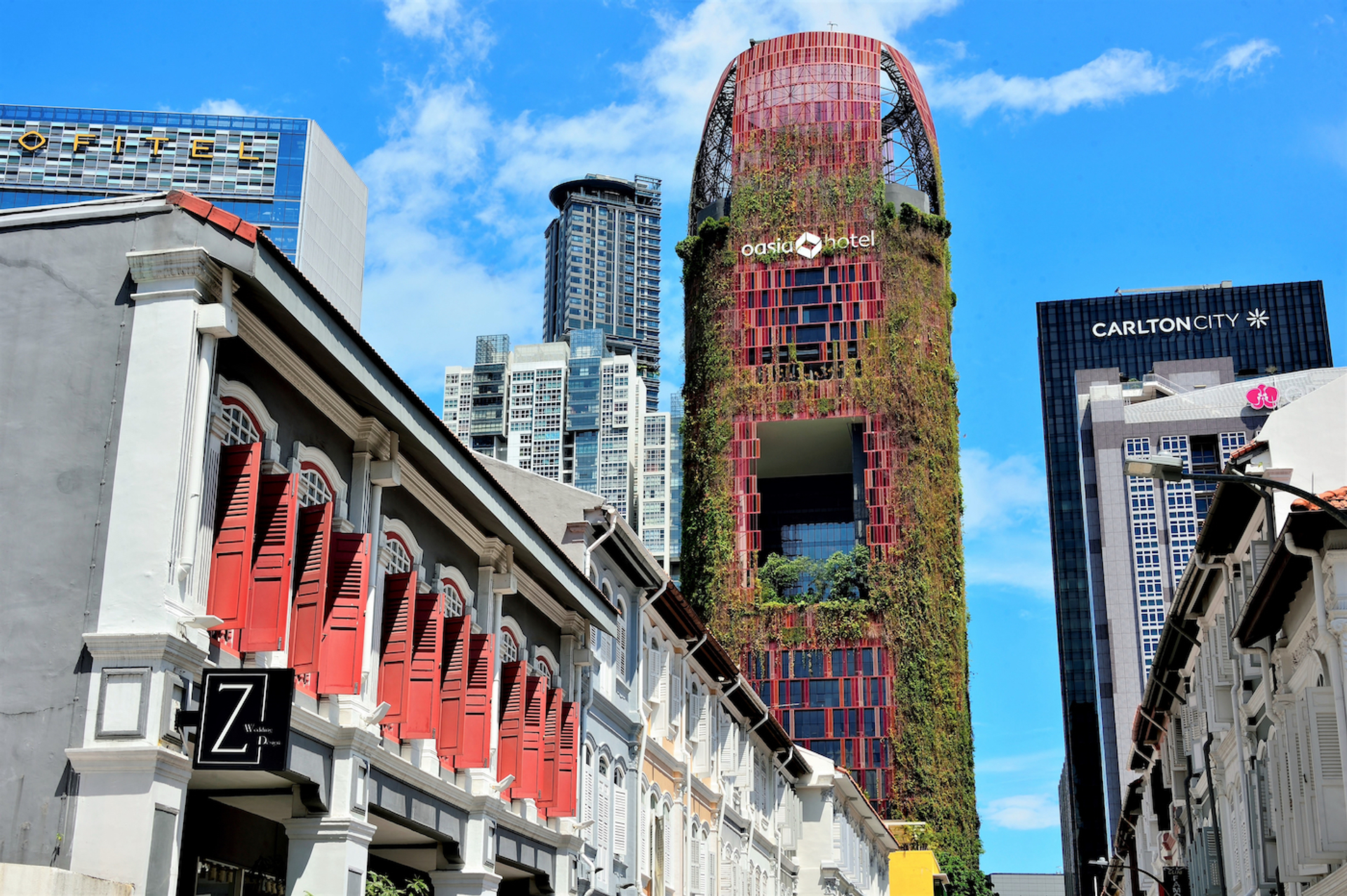 VerticaalBos3-1624611692