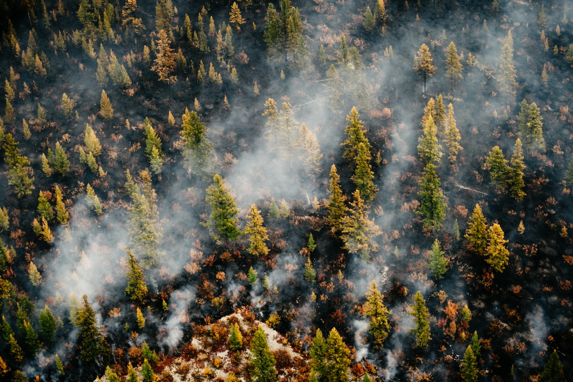 Sergey_Filinin-1744287568