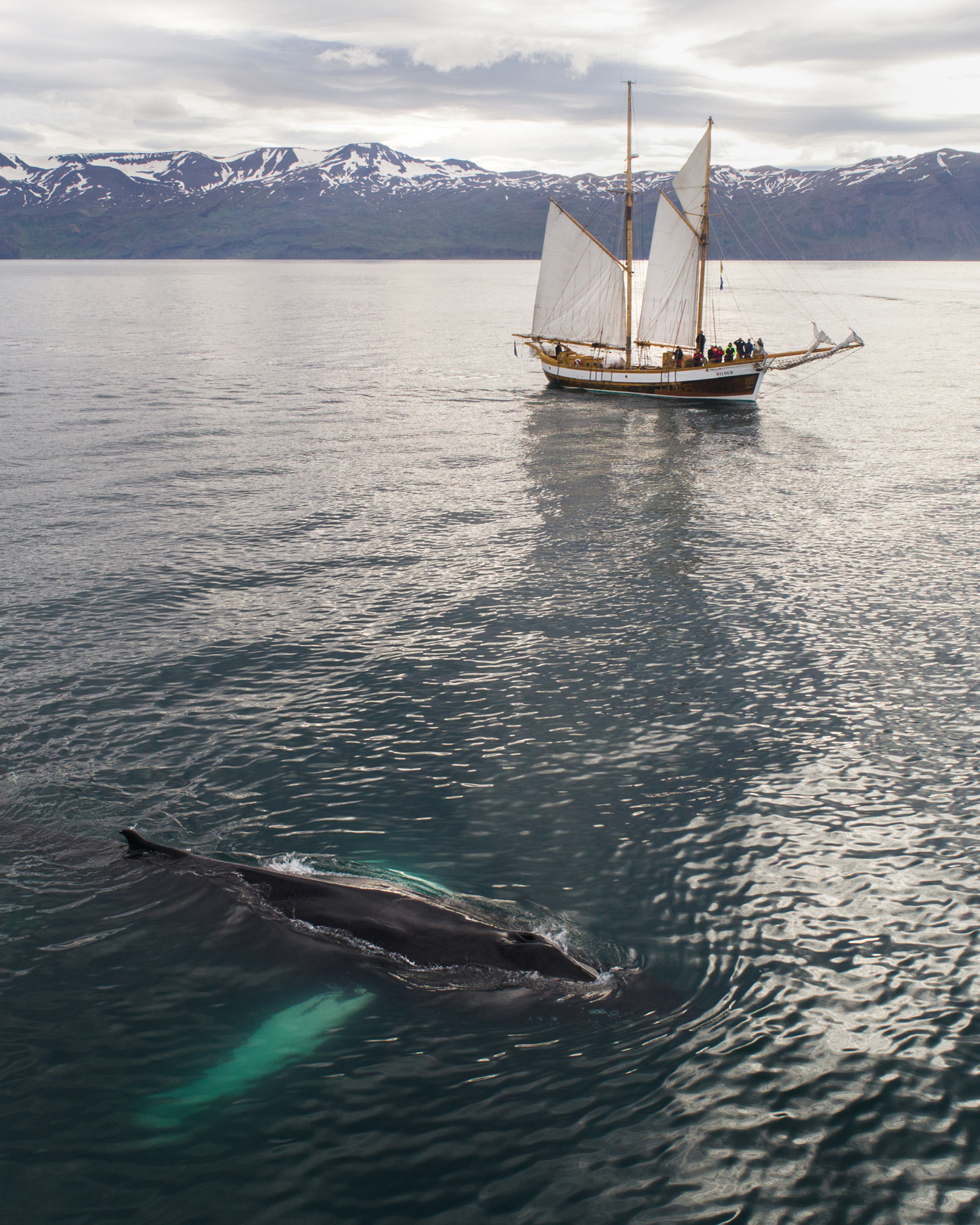 _Nick_Bondarev_boat_Hildur-1637931531