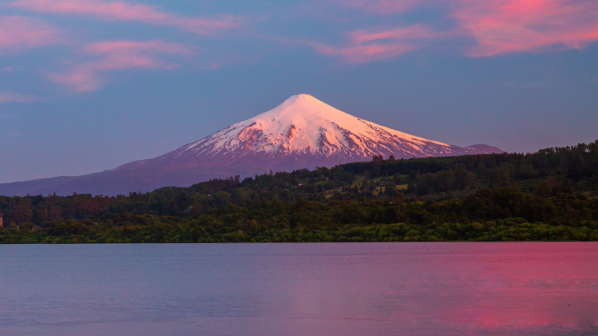 Vaclav_Sebek___Shutterstock.com_-1709827044