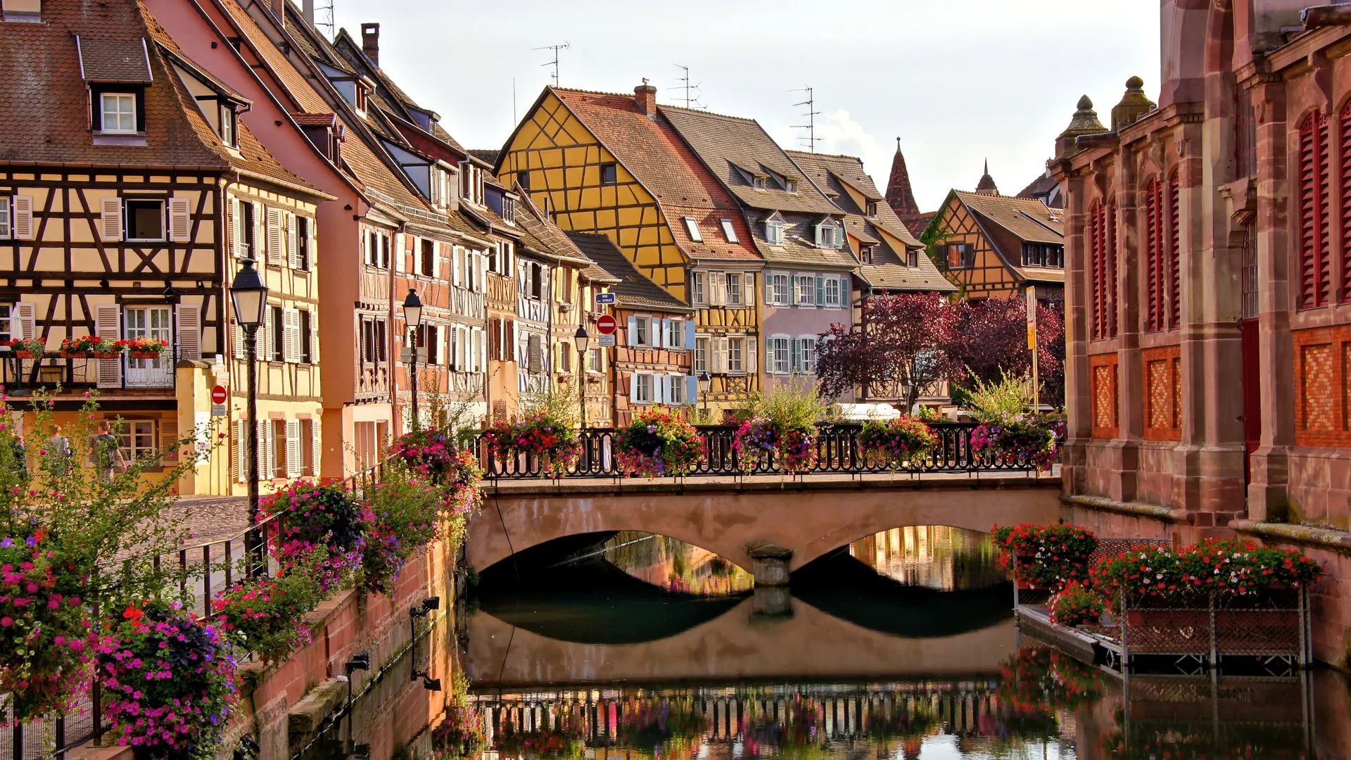 shutterstock_1140739496-1616085773