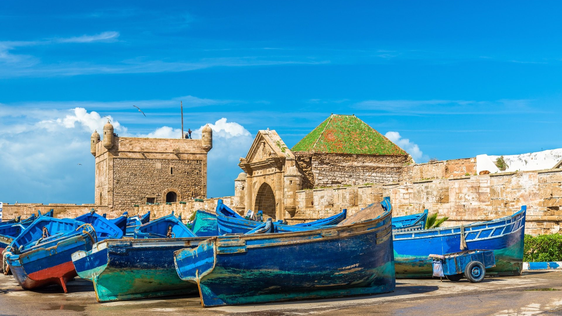 71c3eaf0-4226-47a8-b3d7-913110e8a537-1605102959