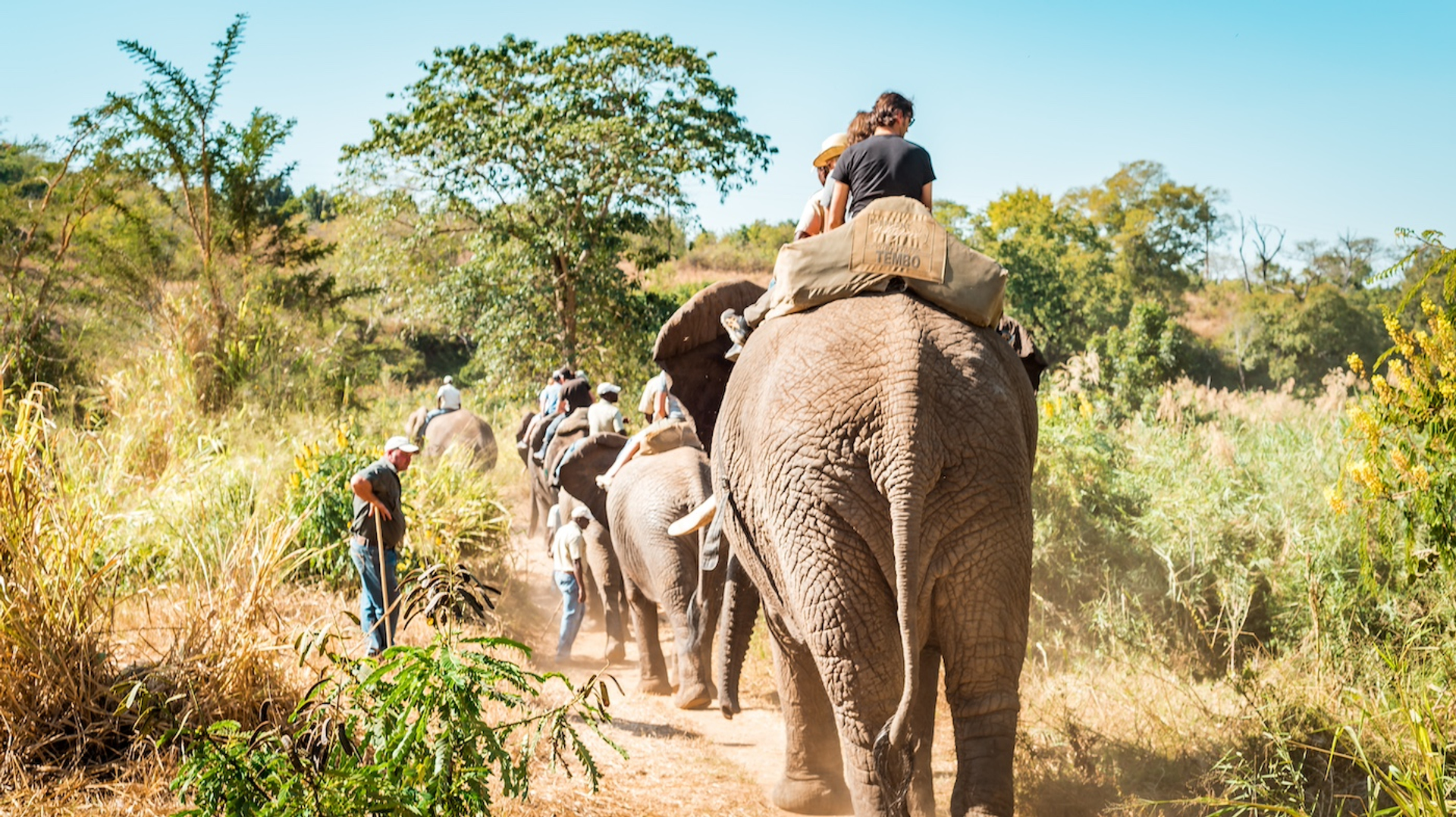 shutterstock_1262477734-1733924786