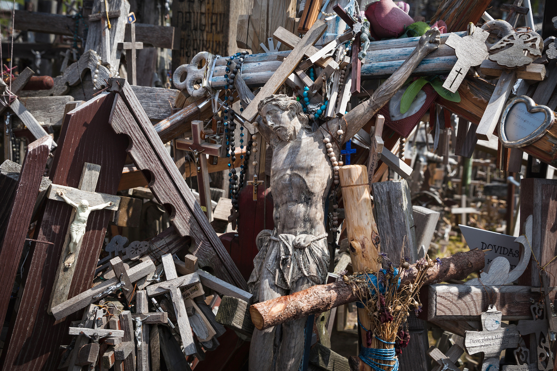 Drop_of_Light___Shutterstock.com-1691073841