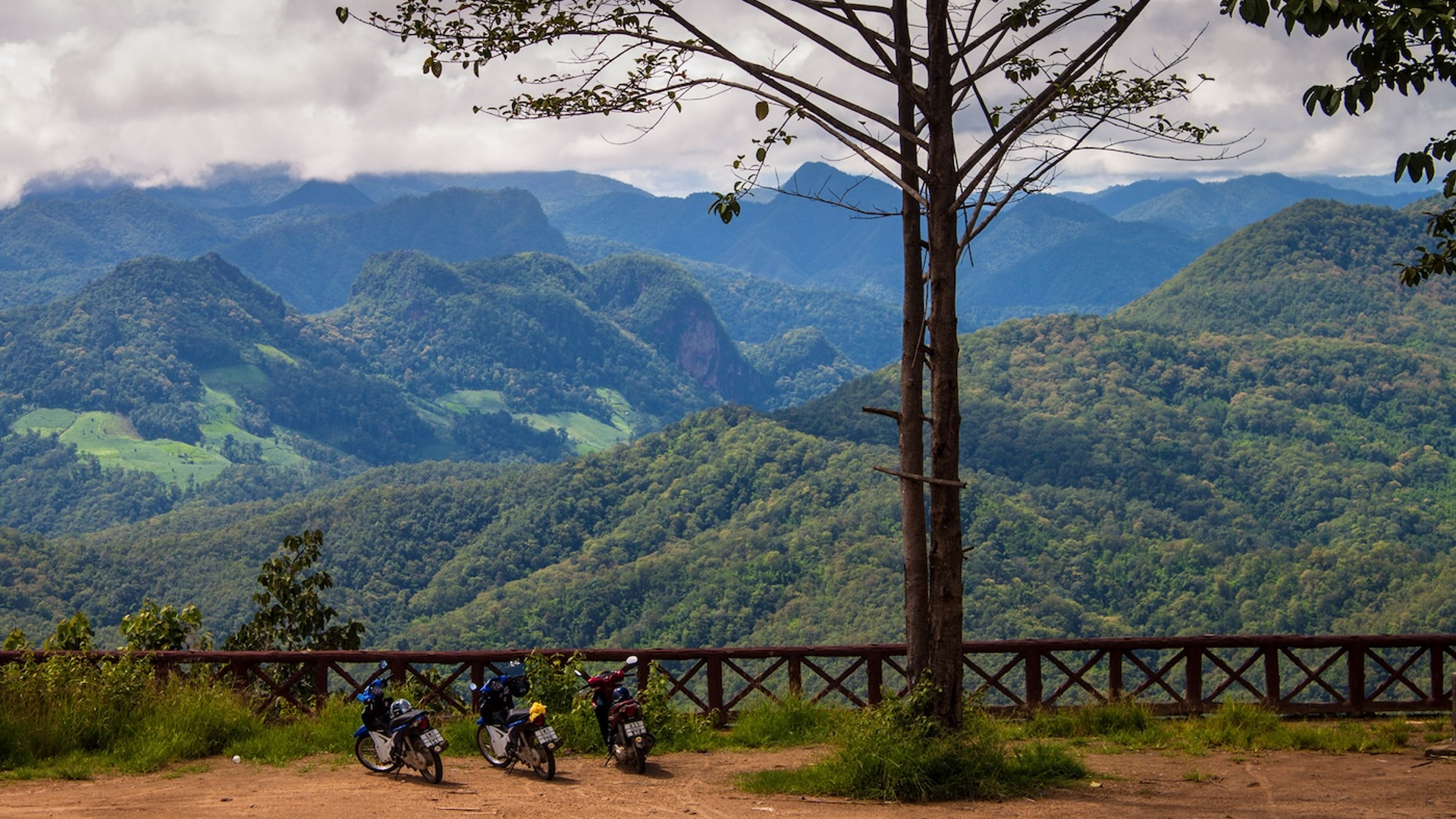 Matyas_Rehak-1710501435