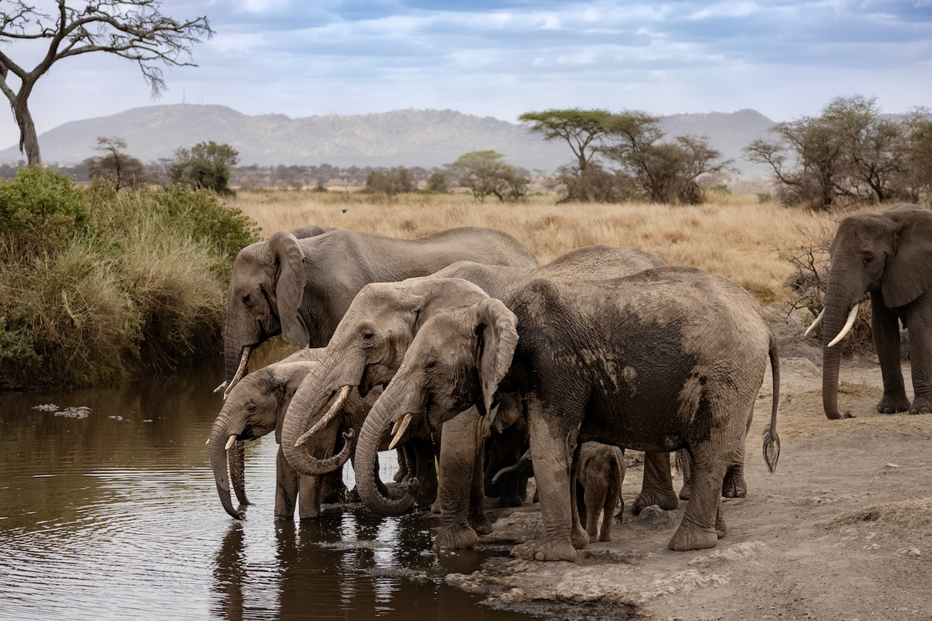 shutterstock_2427953165-1733924455