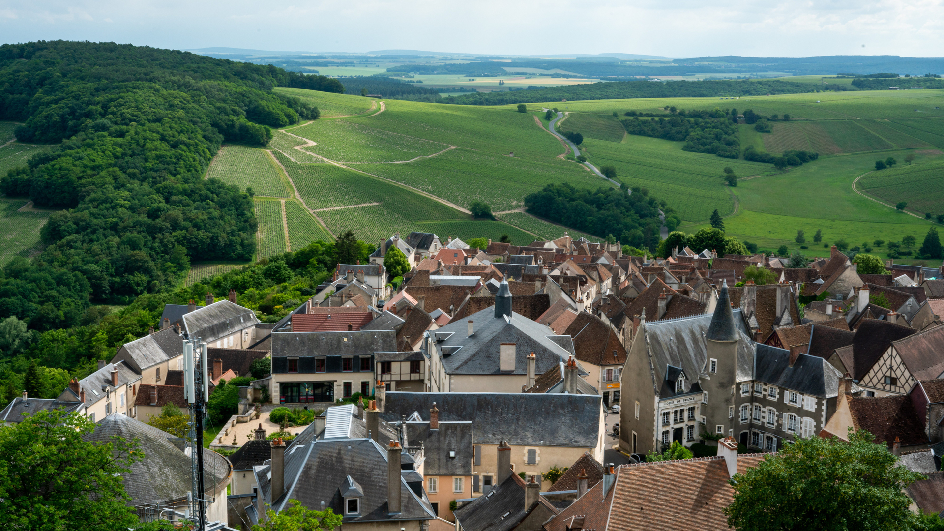 77902e4f-6311-454e-94b6-99087152f075-1605001240