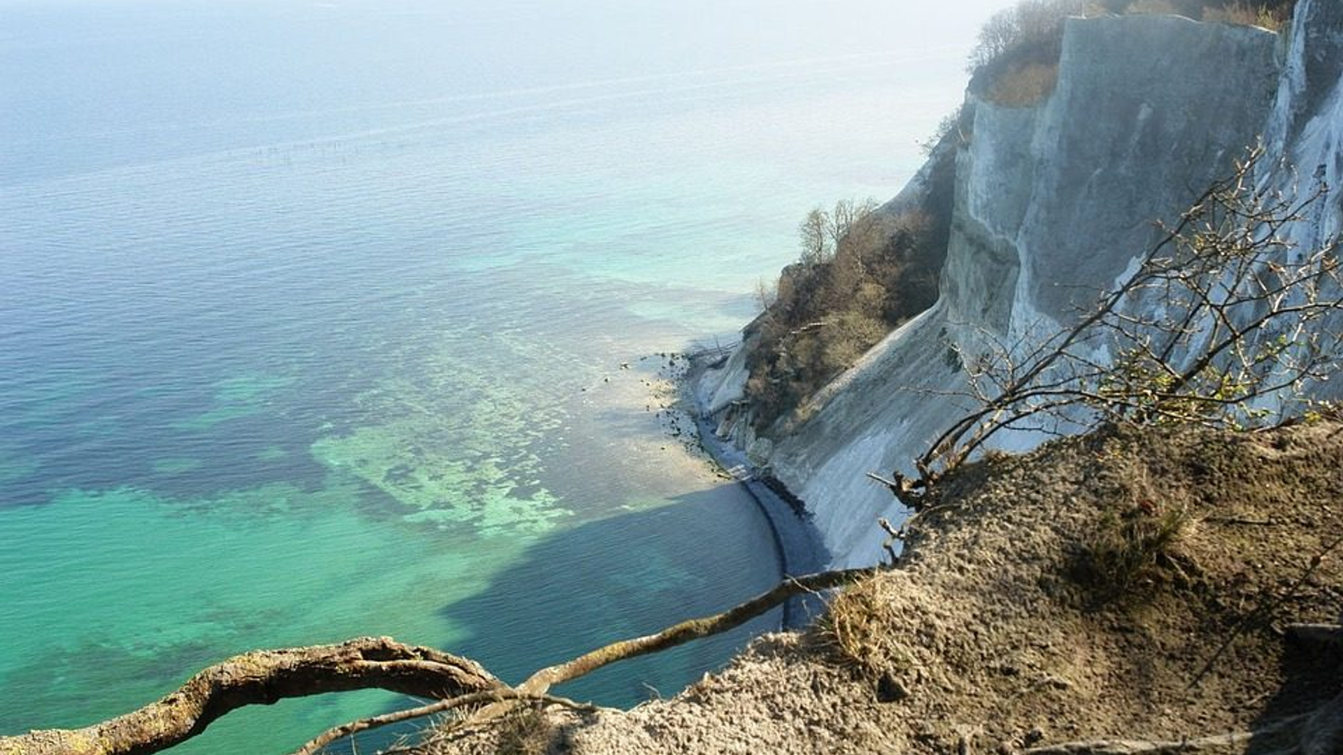 ff84084a-176c-4458-b28c-09064c908092-1605001165