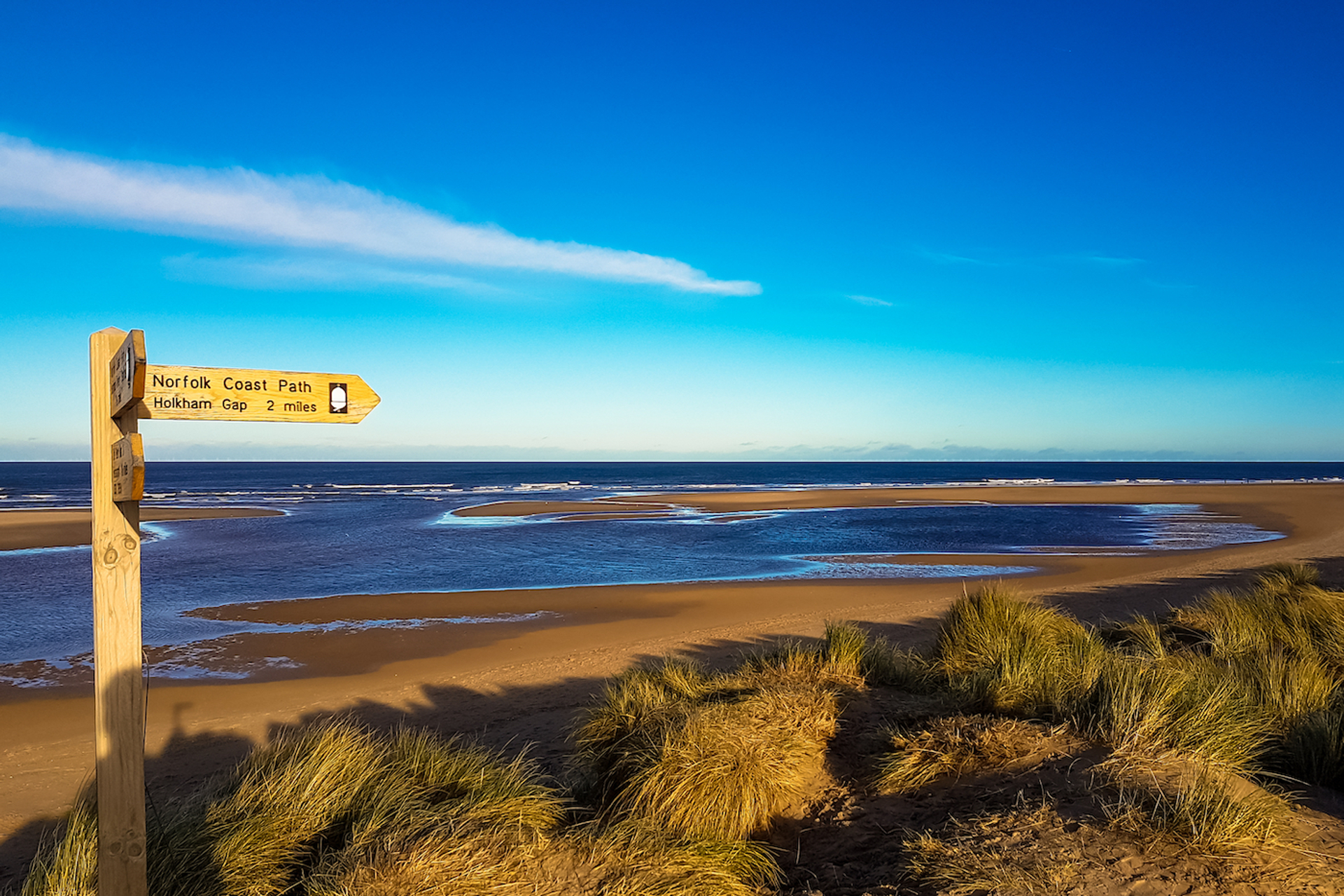 Bealf_Photography___Shutterstock.com-1694092677