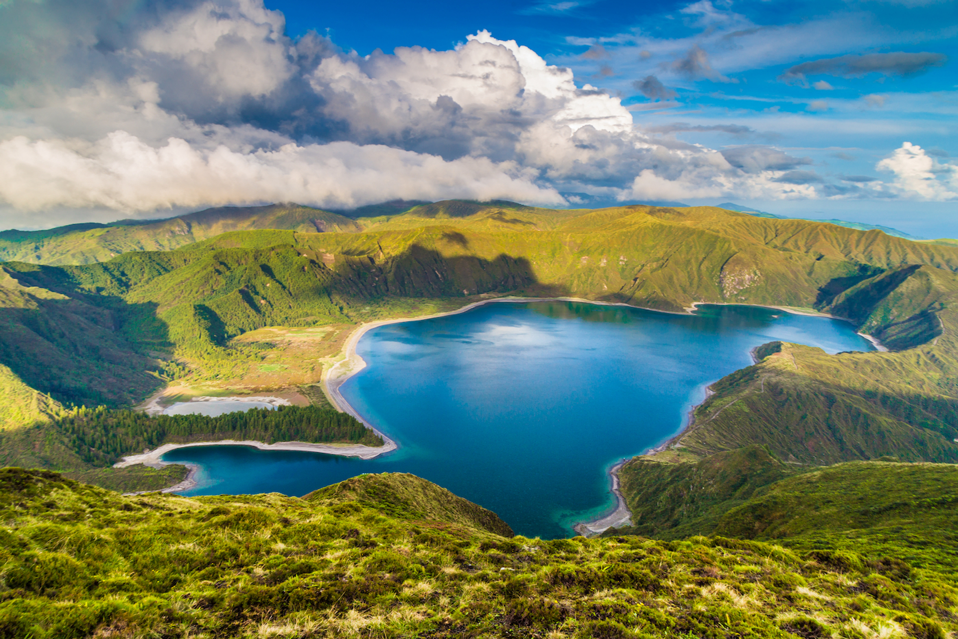 Stanislav_Simonyan___Shutterstock.com-1695388913