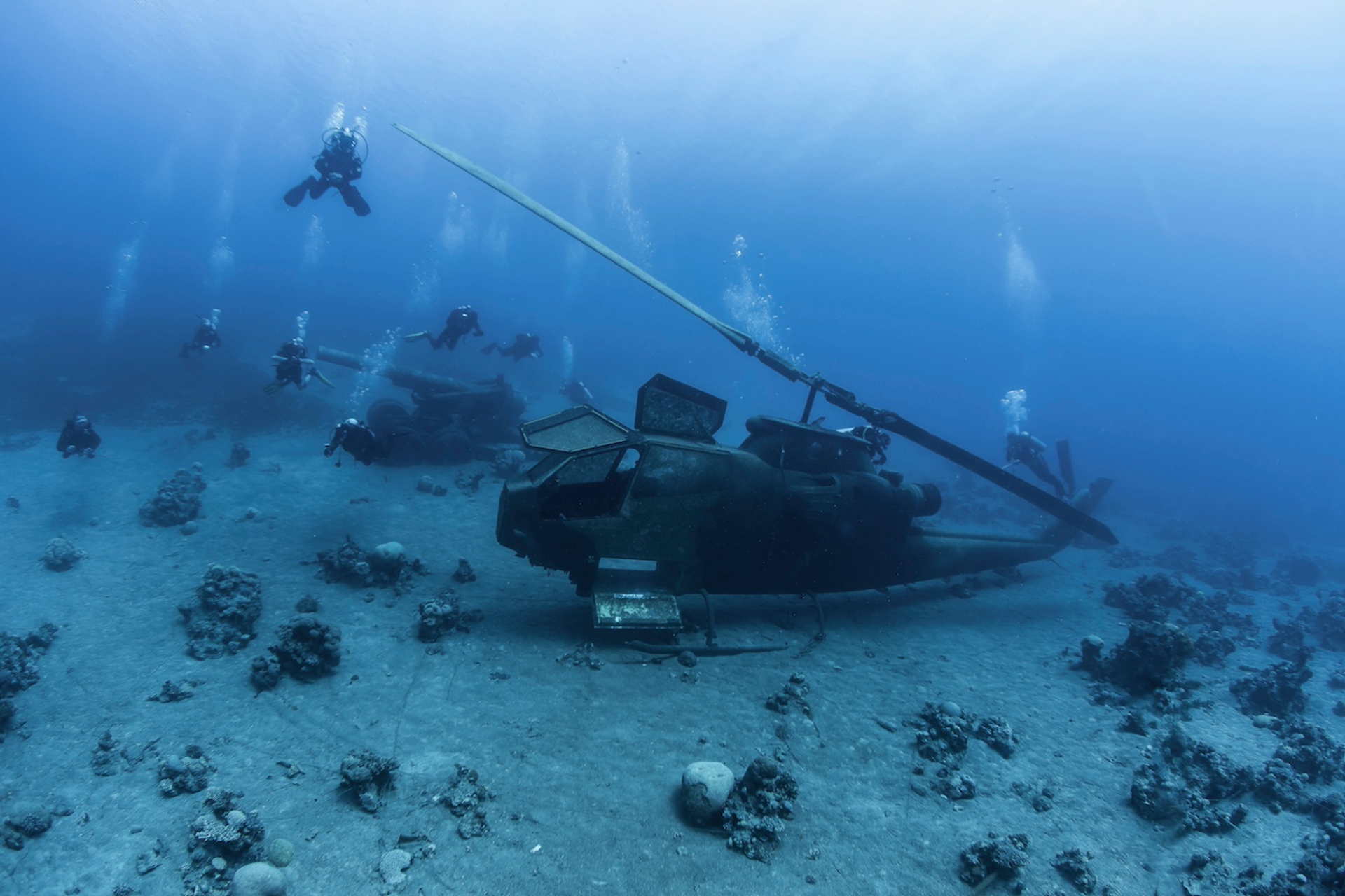 shutterstock_1595200810-1720793546