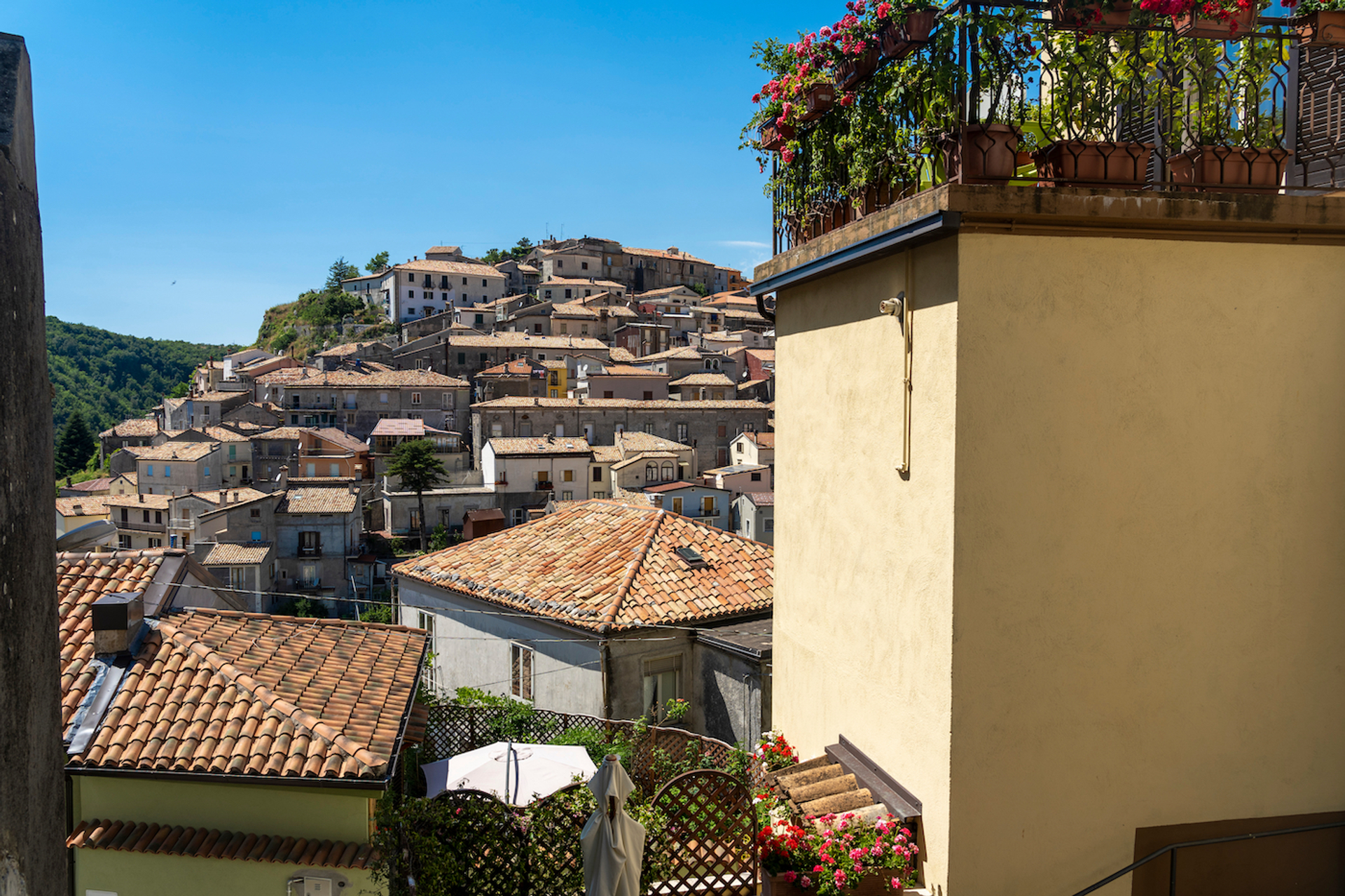 Claudio_Giovanni_Colombo___Shutterstock-1679153644