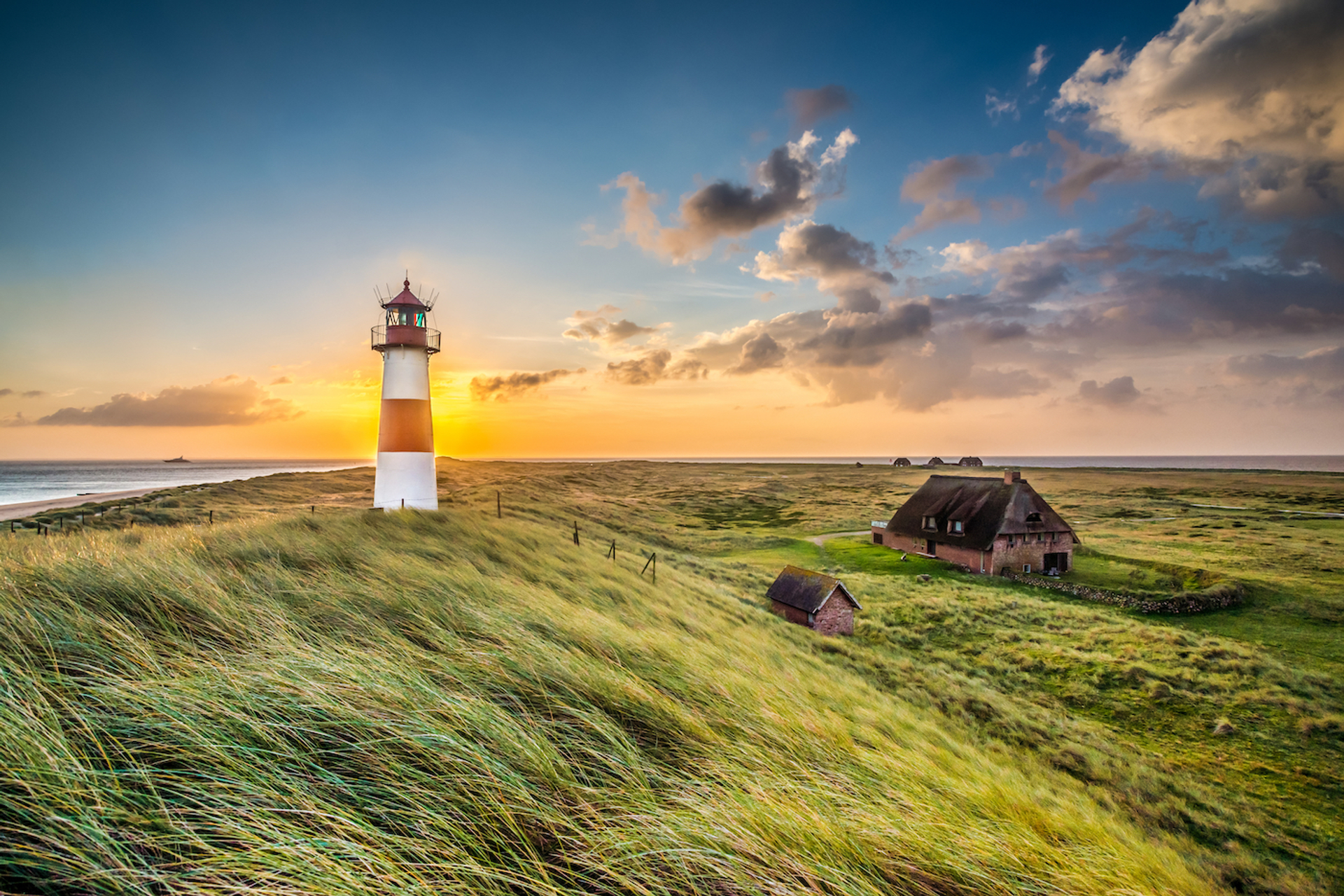 shutterstock_1419040730-1654603993