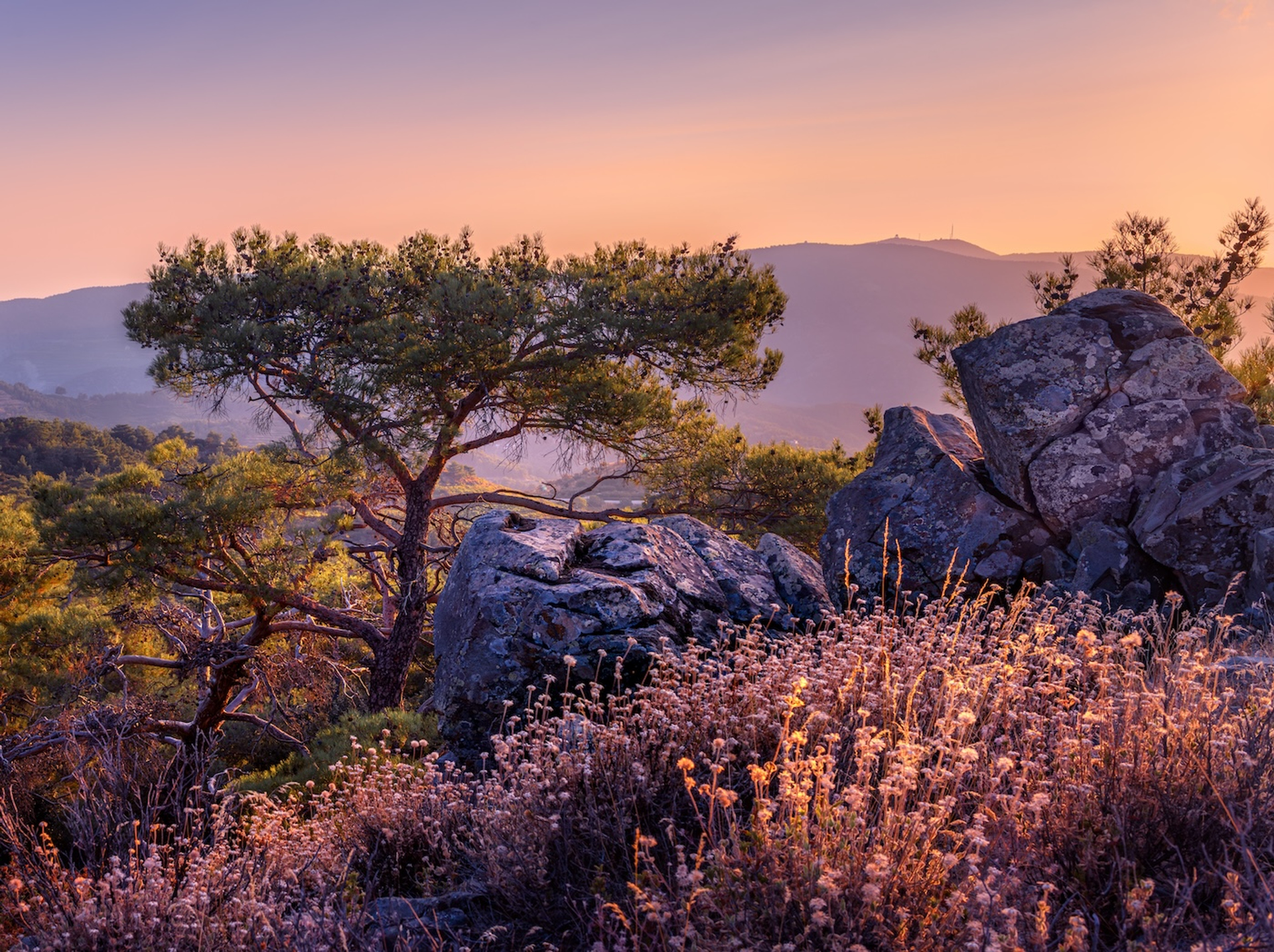 Svetlana_Tertyshnaya-1742467375