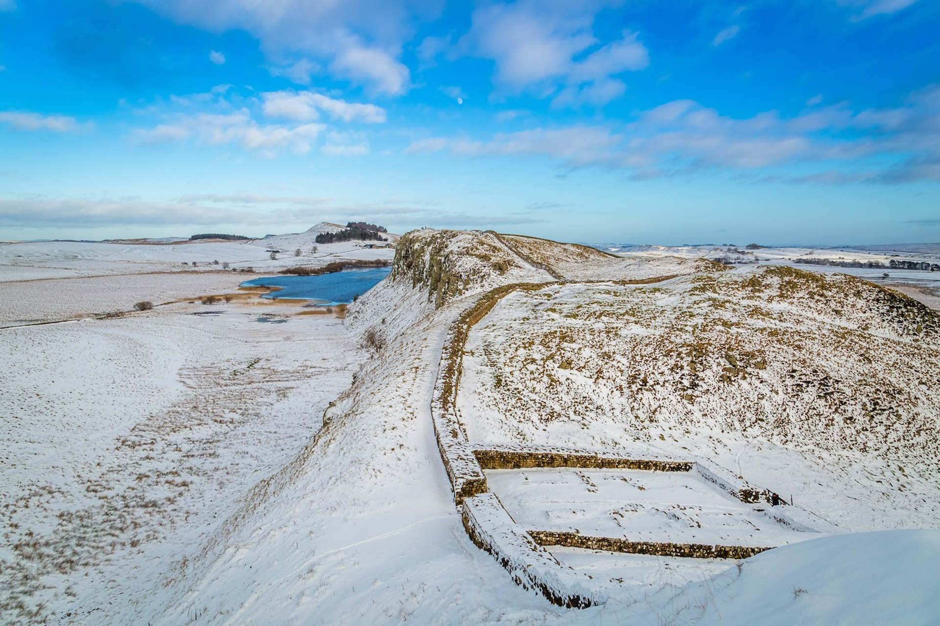 Michael_Conrad-1709049033