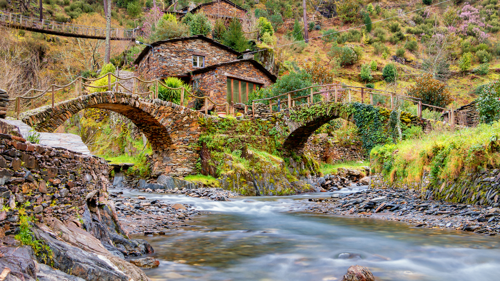 Serradoacor_Miguel_C_F_Mesquita_shutterstock-1636122762