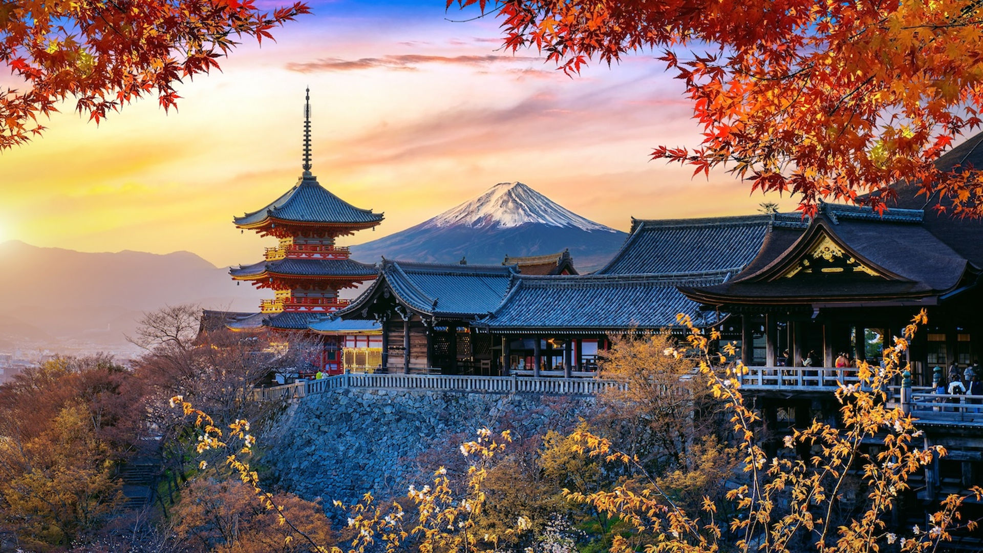 shutterstock_2472173925-1729177415