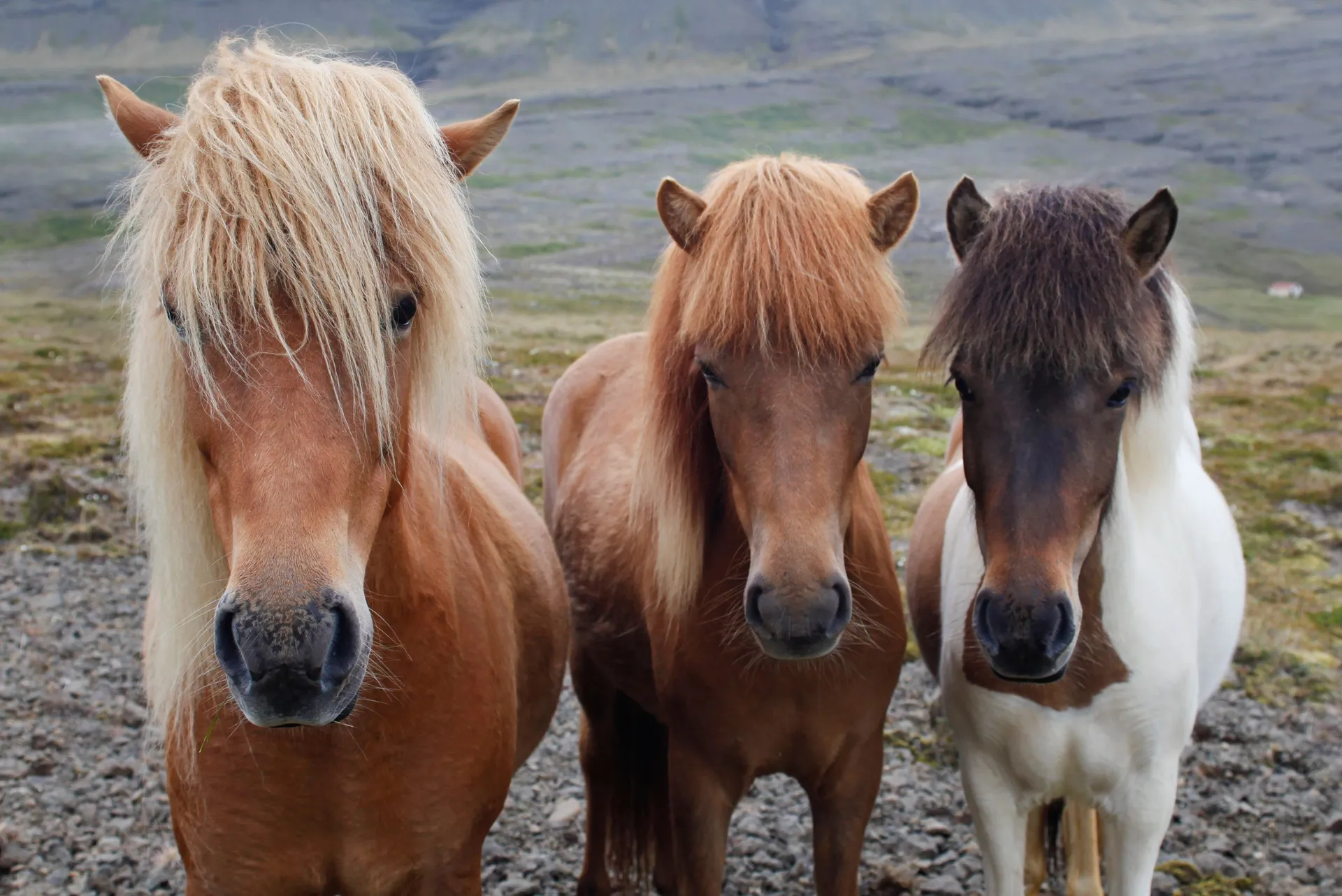 shutterstock_2210387673-1673439312