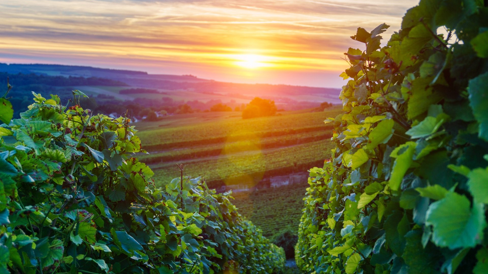 ab0e9aed-2f06-41b1-8a21-f457d8a5680a-1605090627