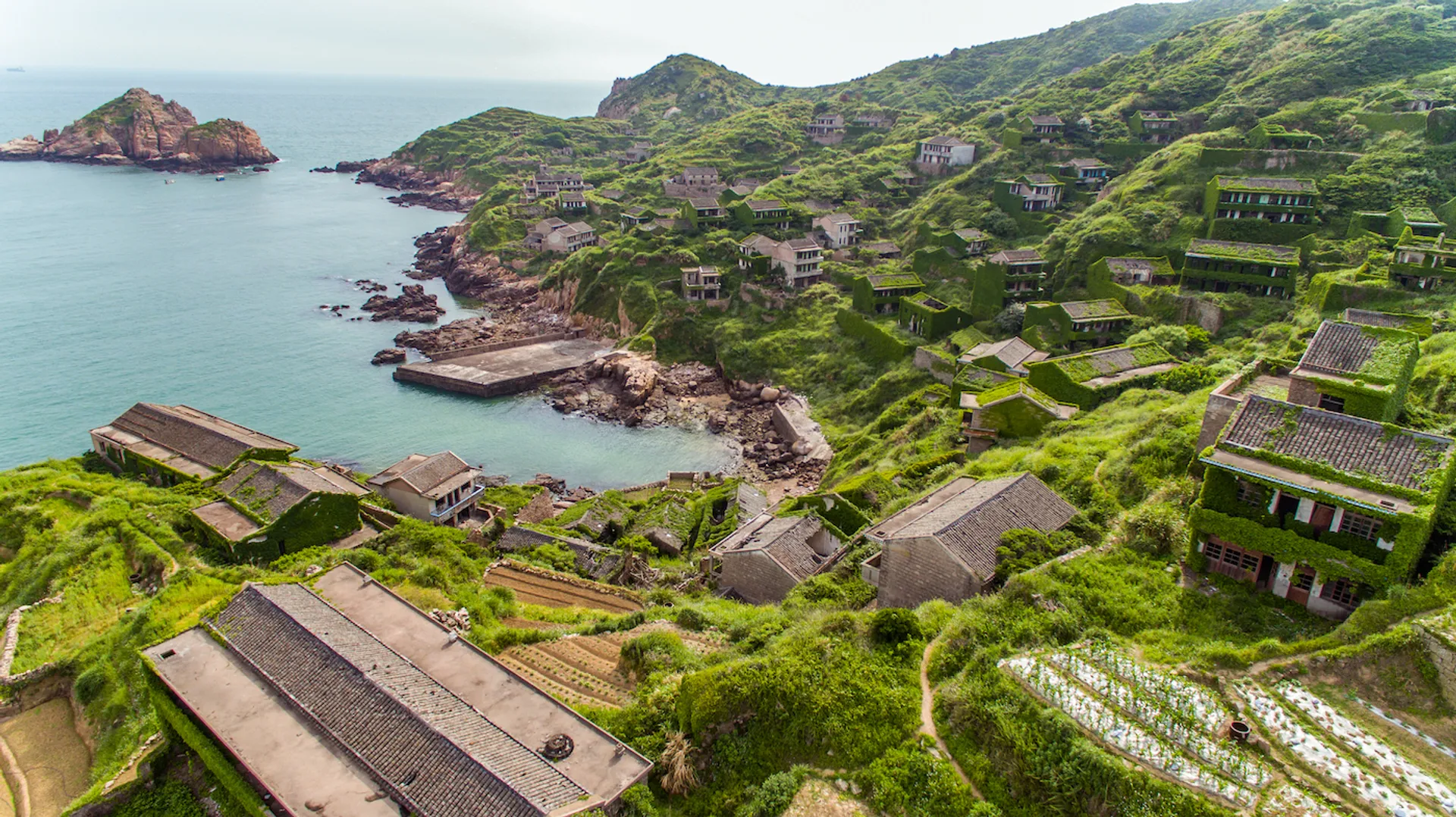 shutterstock_1383444821-1707320323