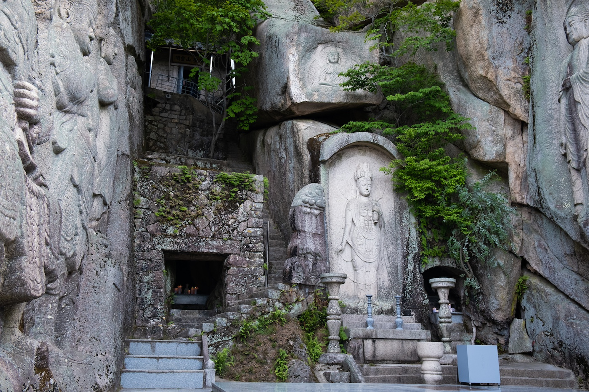 shutterstock_2110726094-1732104003