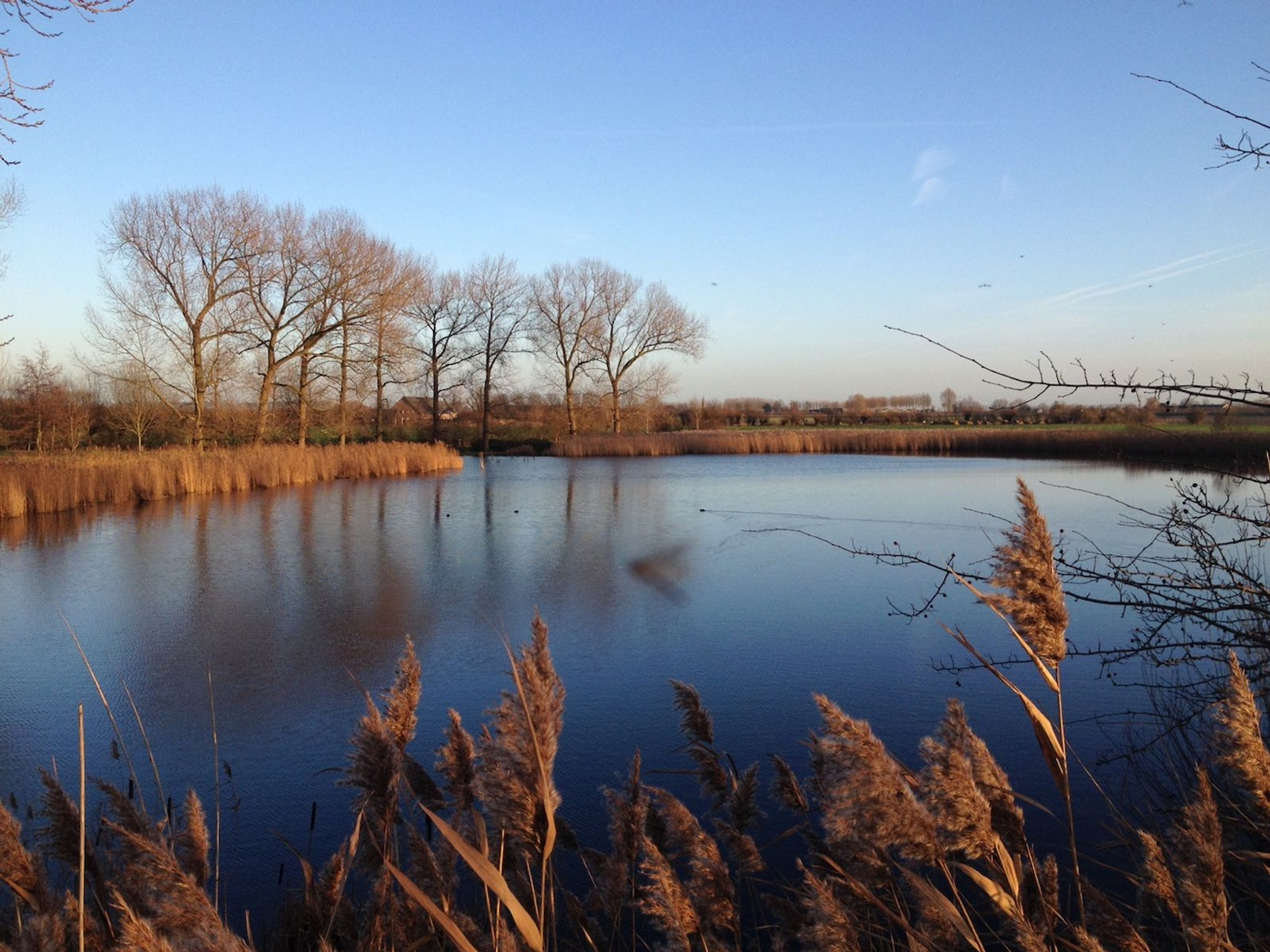 brilletjes._jpg-1716910831