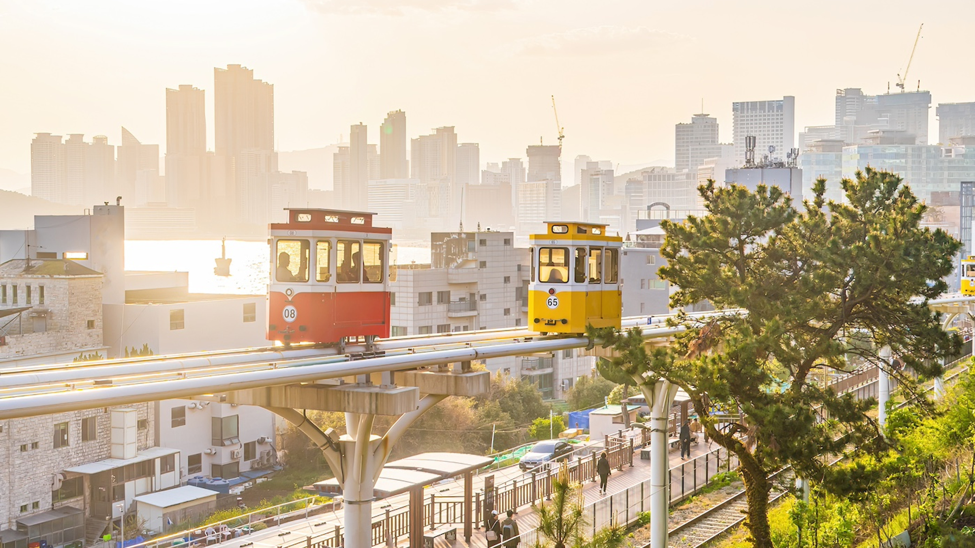 shutterstock_2369010069-1732103743