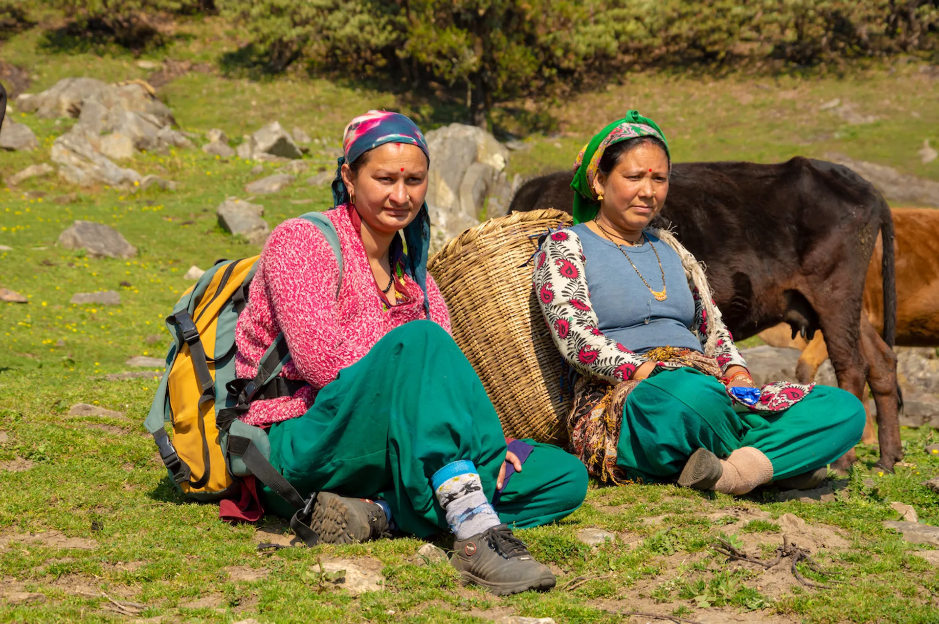 shutterstock_Natwar_Lal_Bhargawa-1642499148